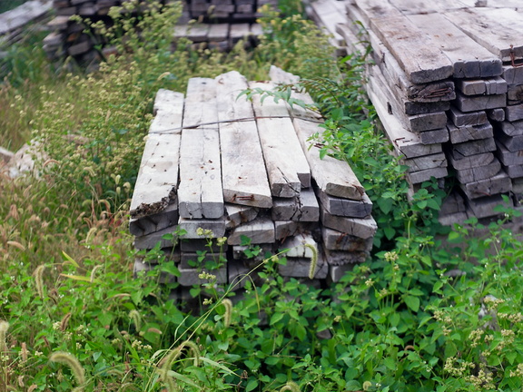 POld Wood Piles